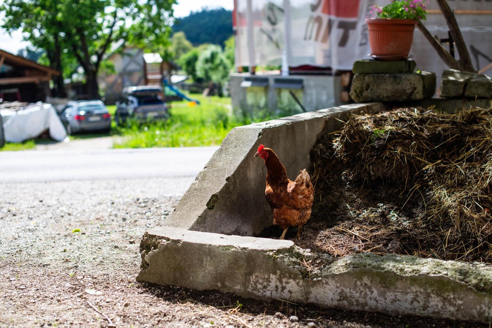 Turisticna Kmetija Grabnar Villa Bled Luaran gambar