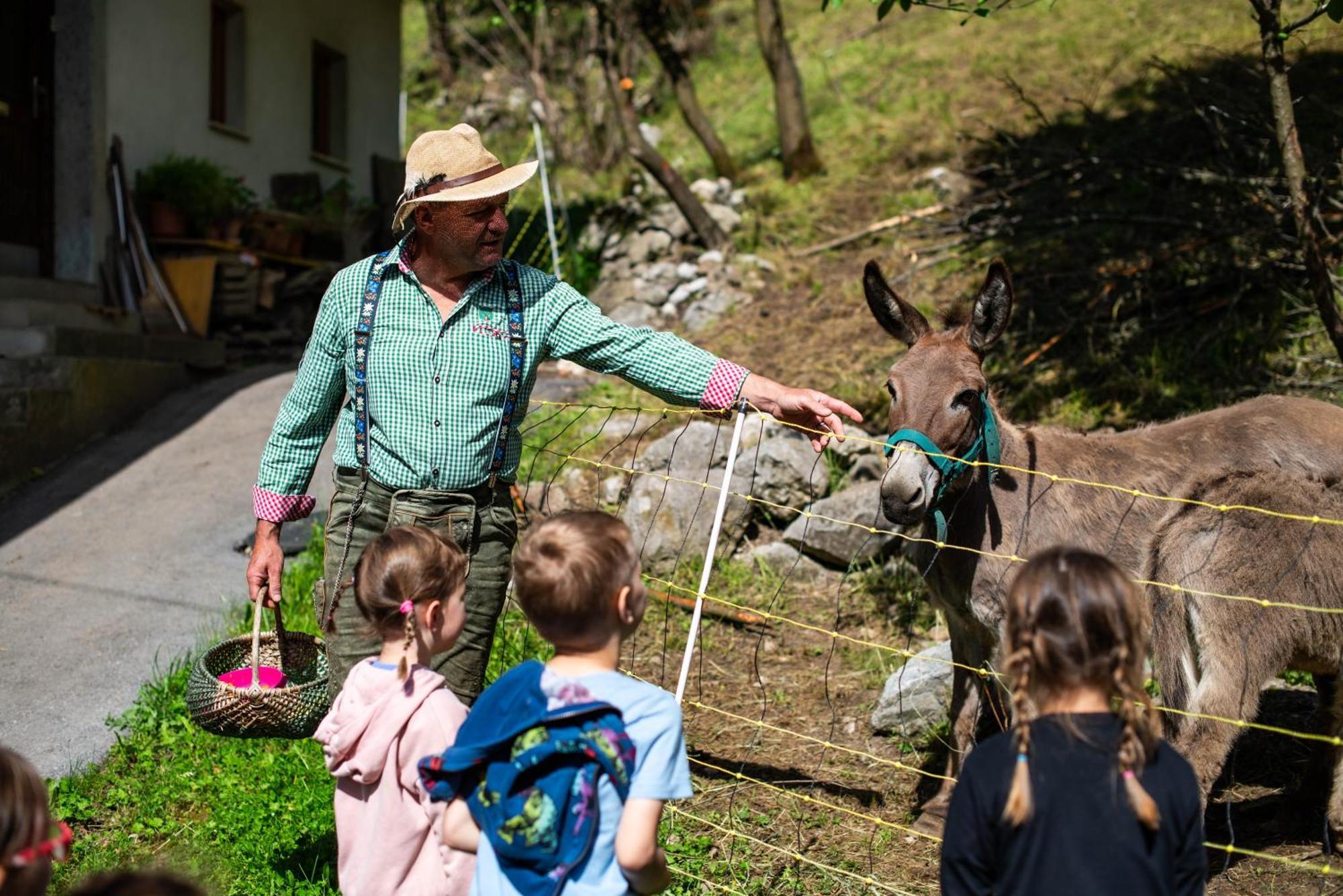 Turisticna Kmetija Grabnar Villa Bled Luaran gambar