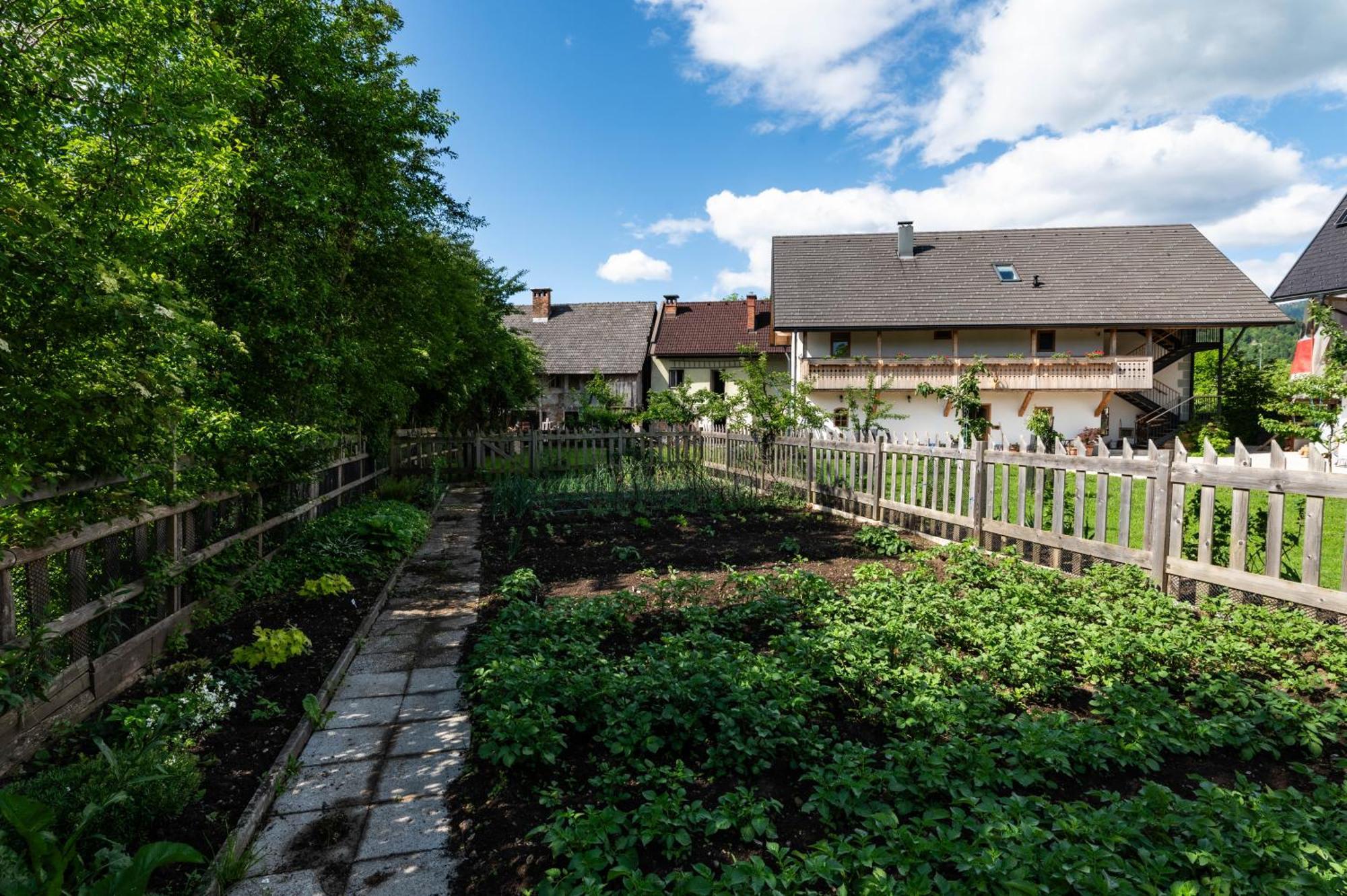 Turisticna Kmetija Grabnar Villa Bled Luaran gambar